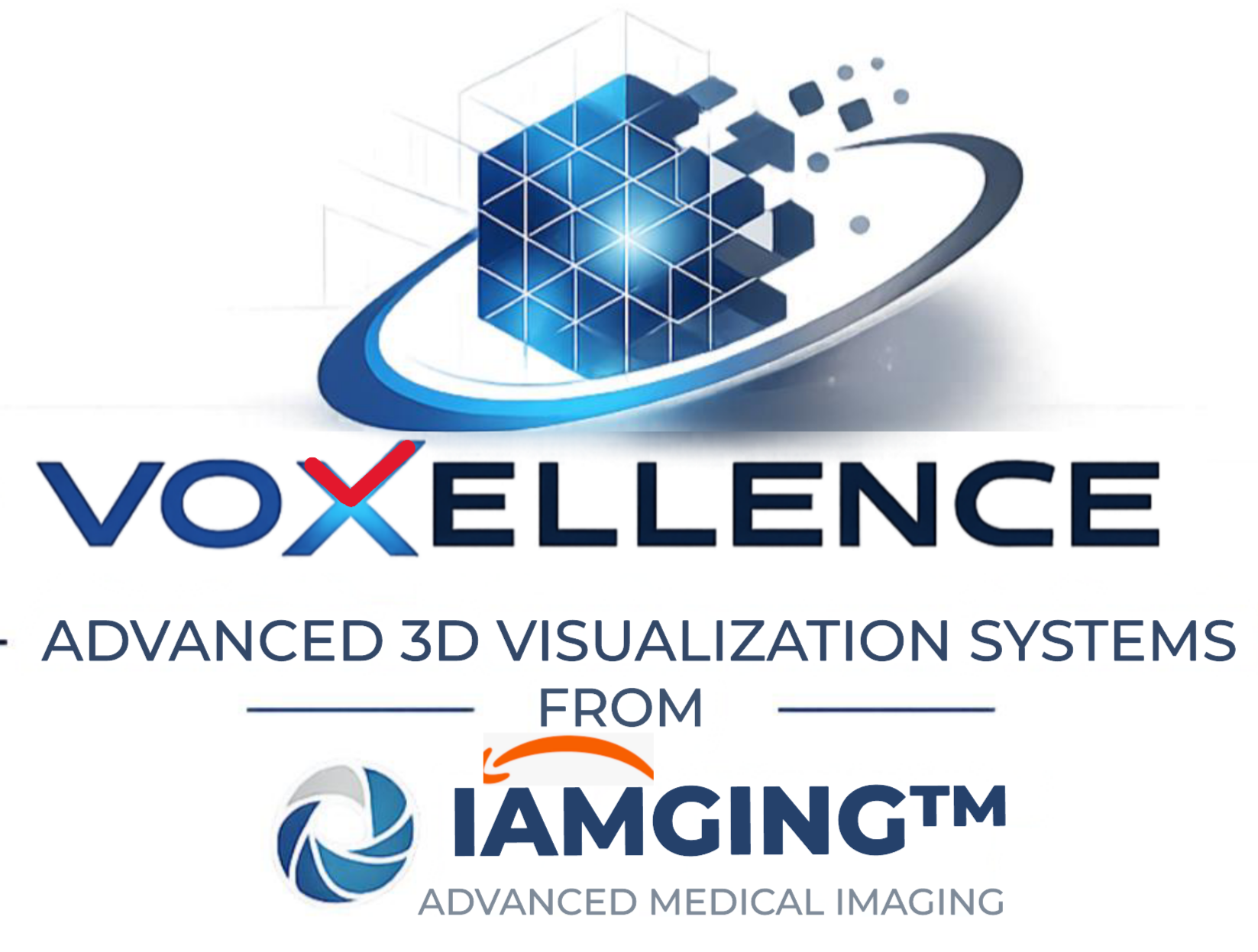 Voxellence